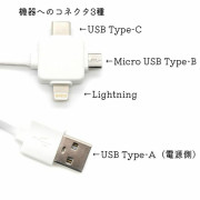 三合一USB線 [旅行BABY]